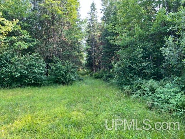26347 Bootjack Road Lake Linden, MI 49945 - Photo 30 of 58