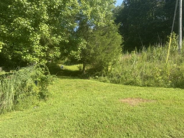3 Carroll Hollow Road Waynesboro, TN 38485 - Photo 19 of 25 Gallery Image 19