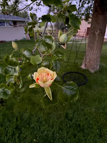 $333,900 | 12944 Ospur Road, Clinton, IL 61727