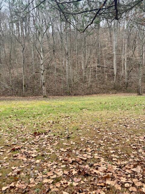 566 Woodruff Road Ray, OH 45672 - Photo 52 of 55 IMG_4786