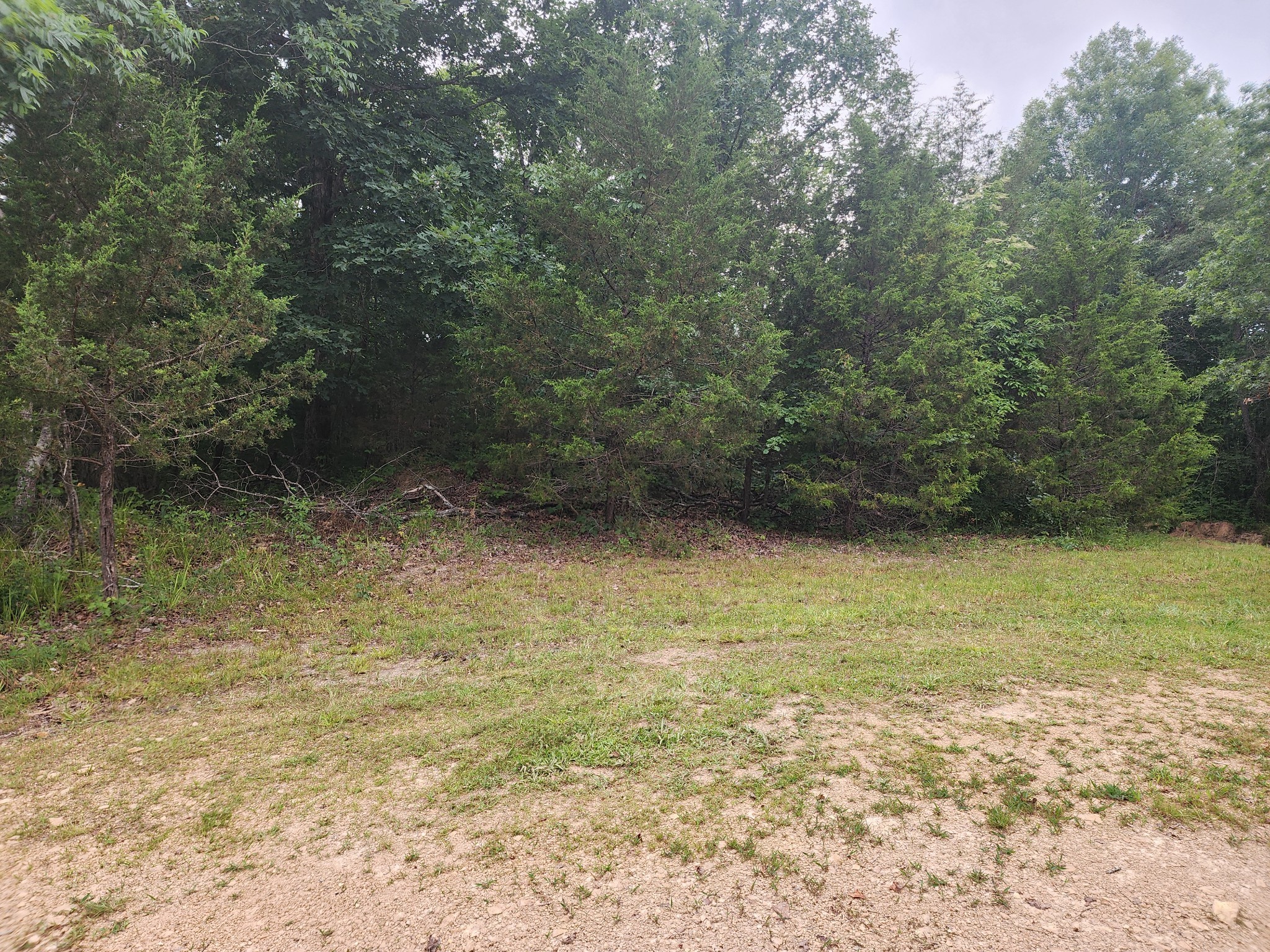 1135 Seiber Ridge Road Hohenwald, TN 38462 - Photo 15 of 18