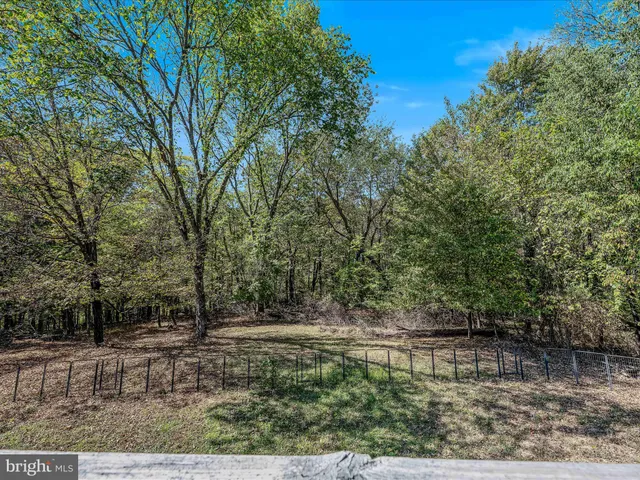 a view of backyard with green space