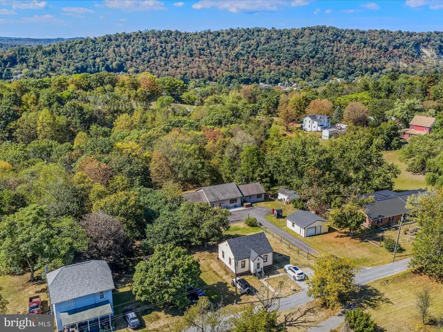a view of a pathway covered with flower plants