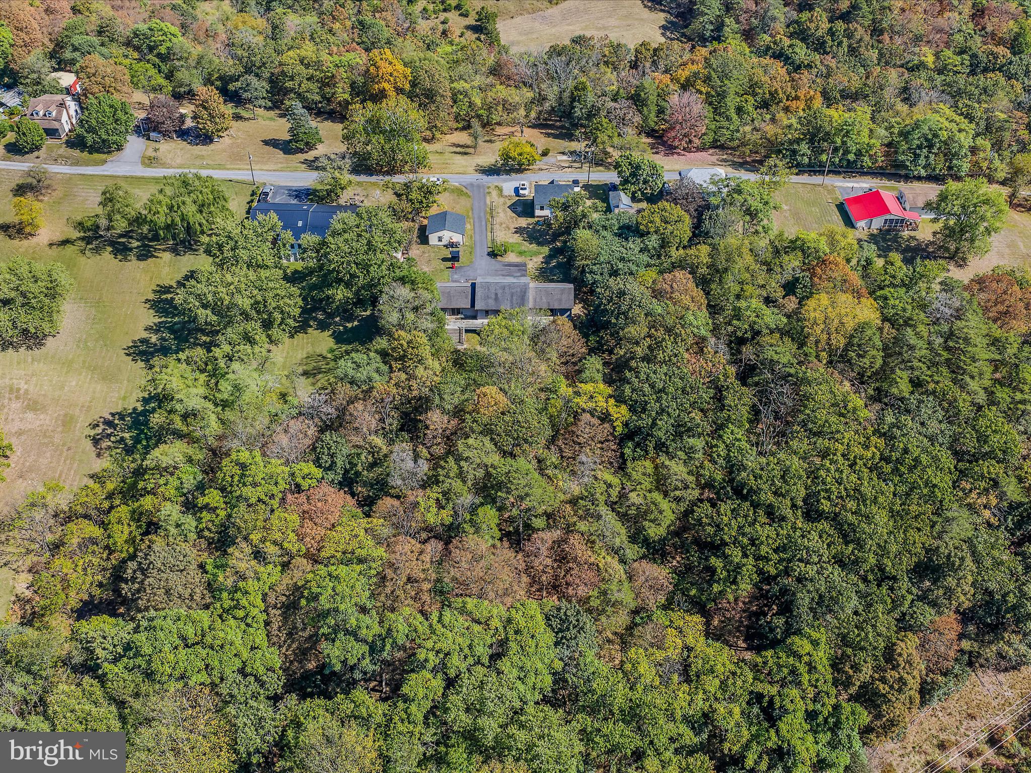104 Golden Lane Berkeley Springs, WV 25411 - Photo 44 of 53 a view of a pathway covered with flower plants