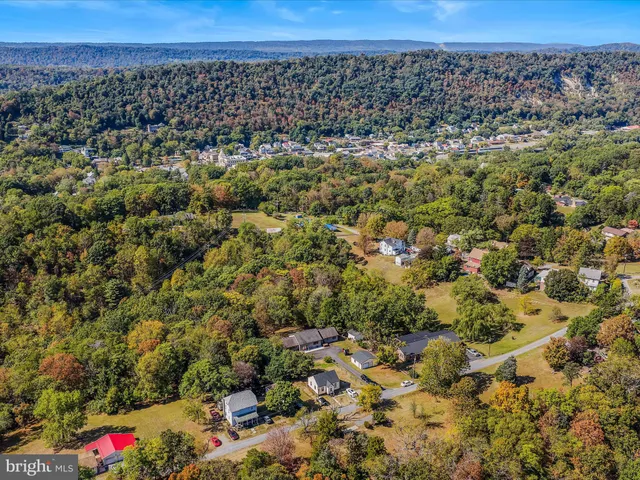 an aerial view of residential houses with outdoor space and trees