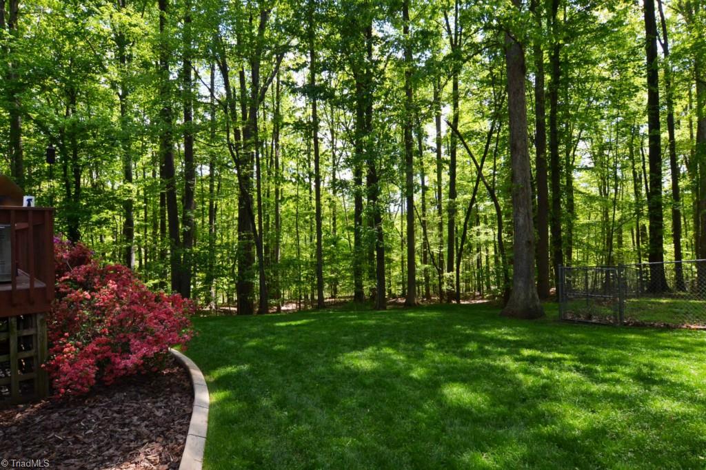 6903 Ridge Haven Road Greensboro, NC 27410 - Photo 23 of 27 Yard