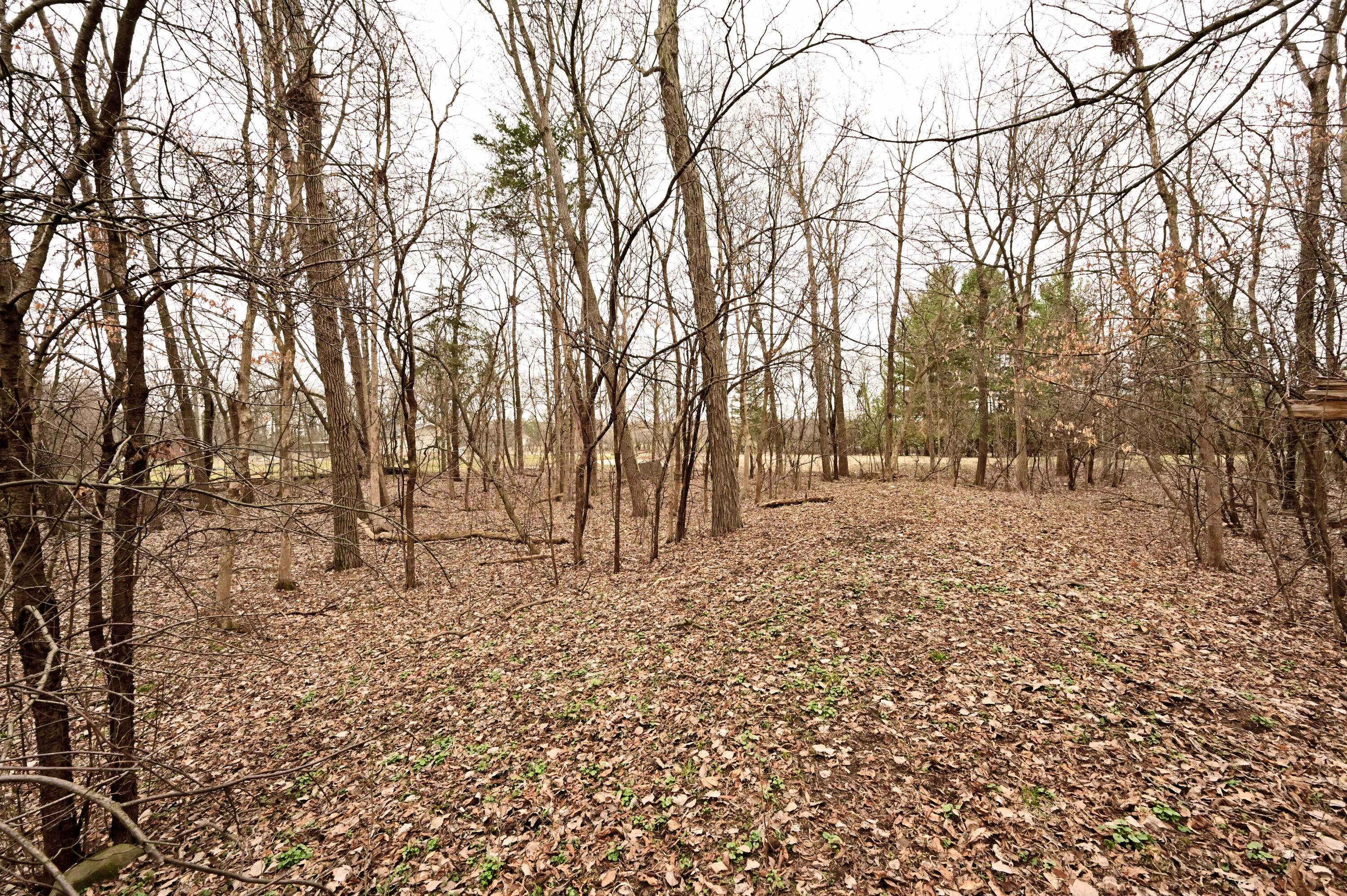 1365 North Morgan Road Oconomowoc, WI 53066 - Photo 5 of 5 Photo 5