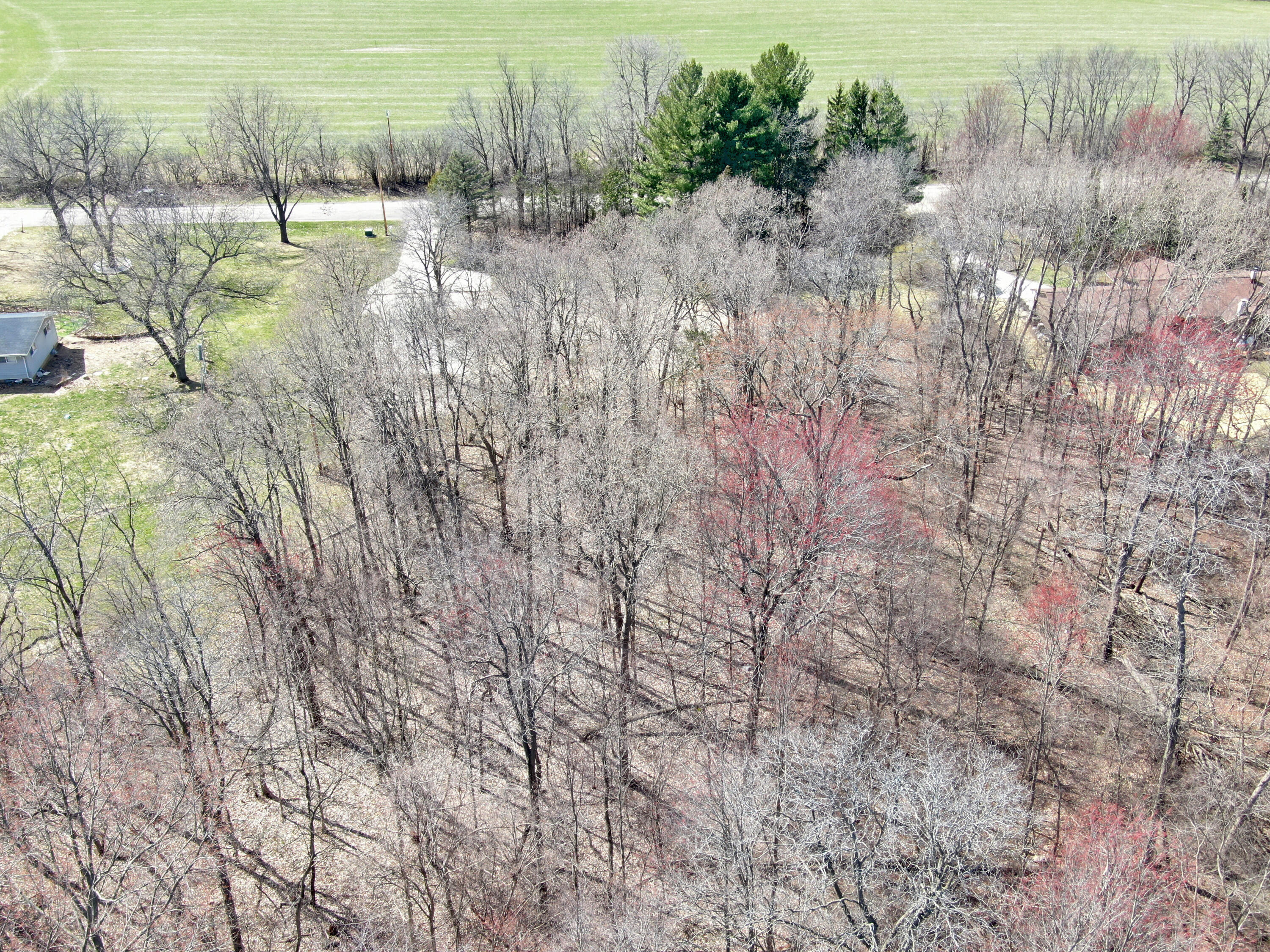 1365 North Morgan Road Oconomowoc, WI 53066 - Photo 8 of 10 Aerial