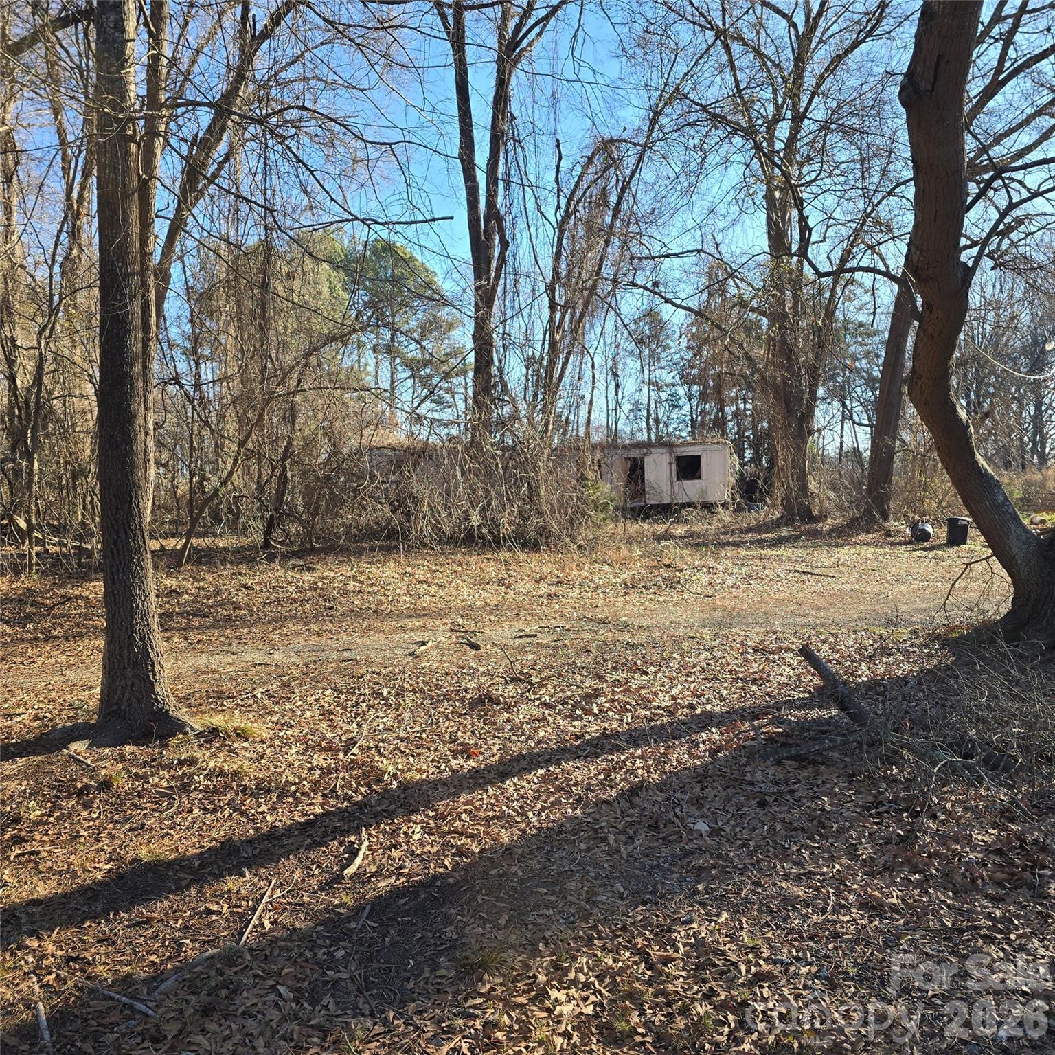 5323 South New Hope Road Belmont, NC 28012 - Photo 32 of 43 a view of a yard with a tree