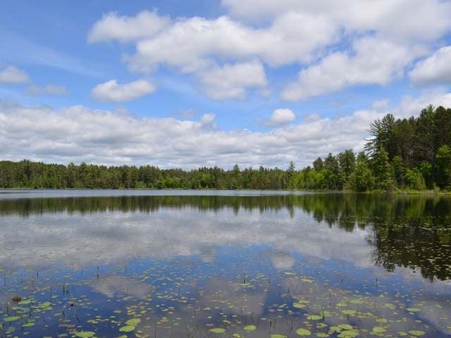 W5196 Jelinek Road Tomahawk, WI 54487 - Photo 16 of 20 Gallery Image 16