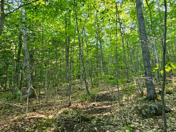 $109,000 | Po M23-l6 Great Moose Drive, Hartland, ME 04943