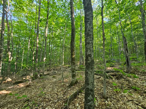 $109,000 | Po M23-l6 Great Moose Drive, Hartland, ME 04943