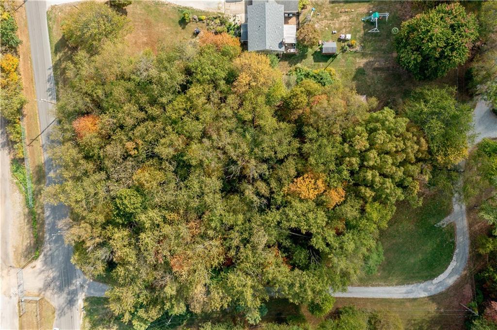1924 Sohn Road Aliquippa, PA 15001 - Photo 2 of 46 a view of a yard with plants