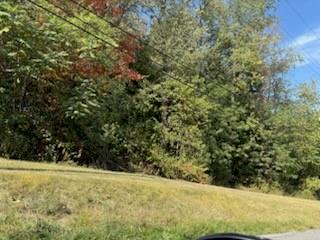 1924 Sohn Road Aliquippa, PA 15001 - Photo 22 of 46 a view of outdoor space and yard