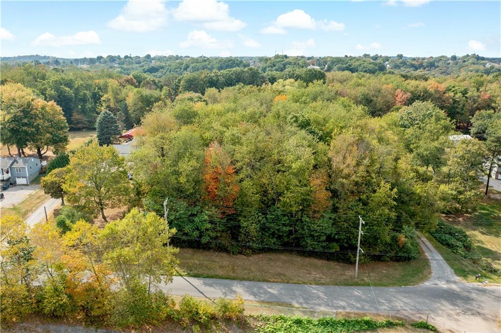 1924 Sohn Road Aliquippa, PA 15001 - Photo 6 of 46 a view of a yard with plants and large trees