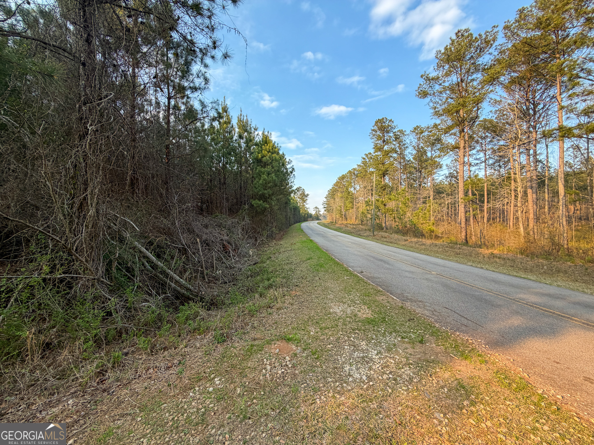 105 Acres On Mccosh Mill Road LaGrange, GA 30240 - Photo 5 of 25 a view of a yard with an trees