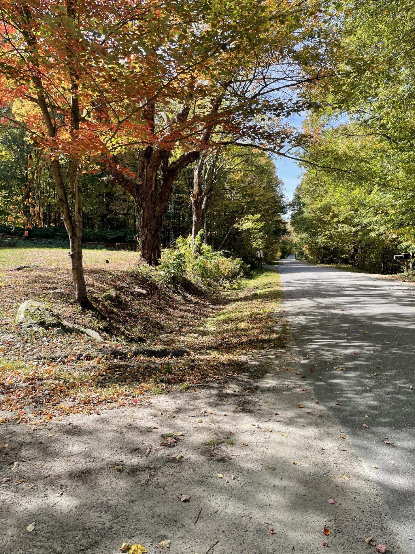 327 S Road Bethlehem, NH 03574 - Photo 4 of 27