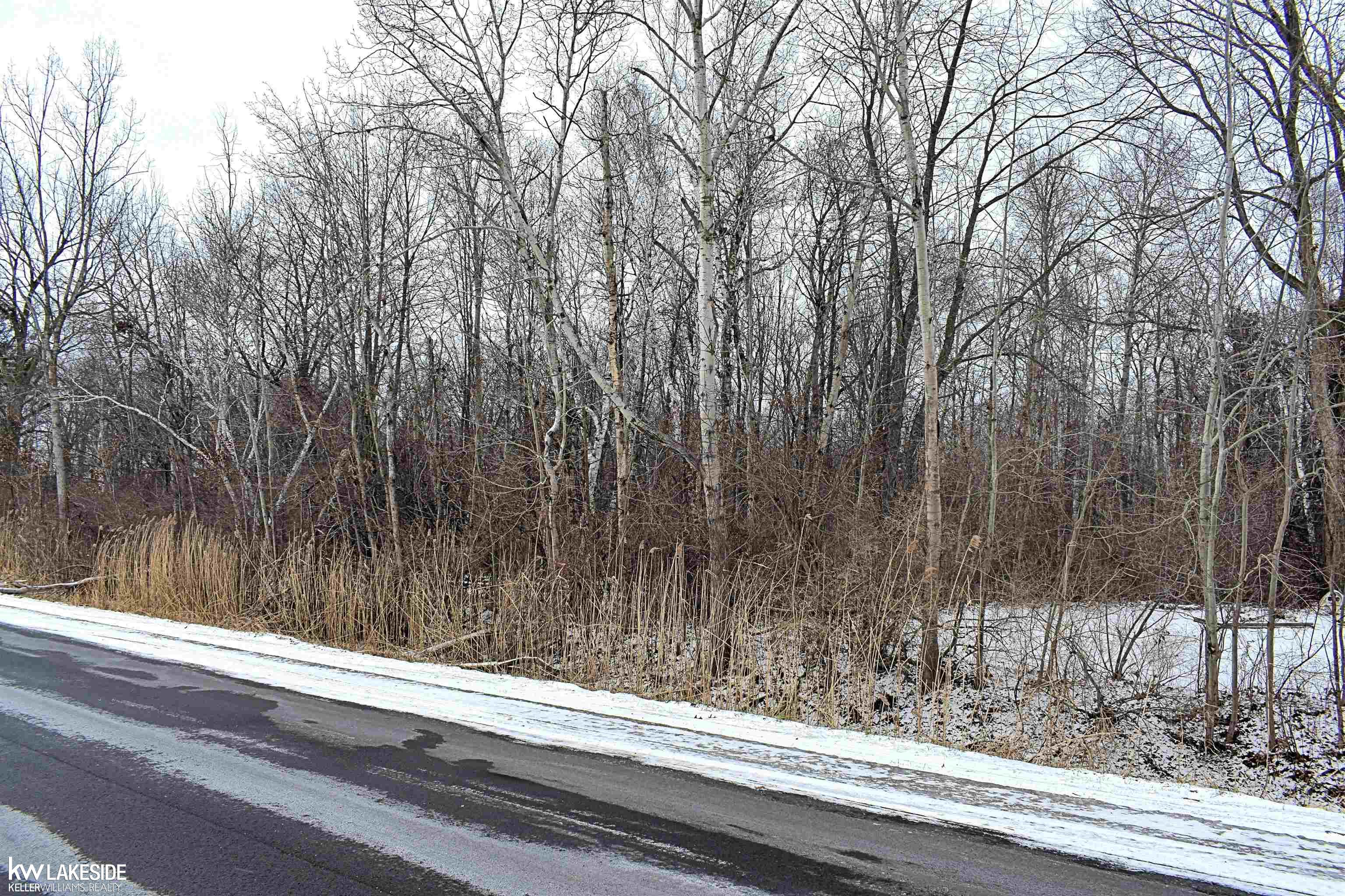 0 Crescent Beach Road Pigeon, MI 48755 - Photo 3 of 4 Gallery Image 3