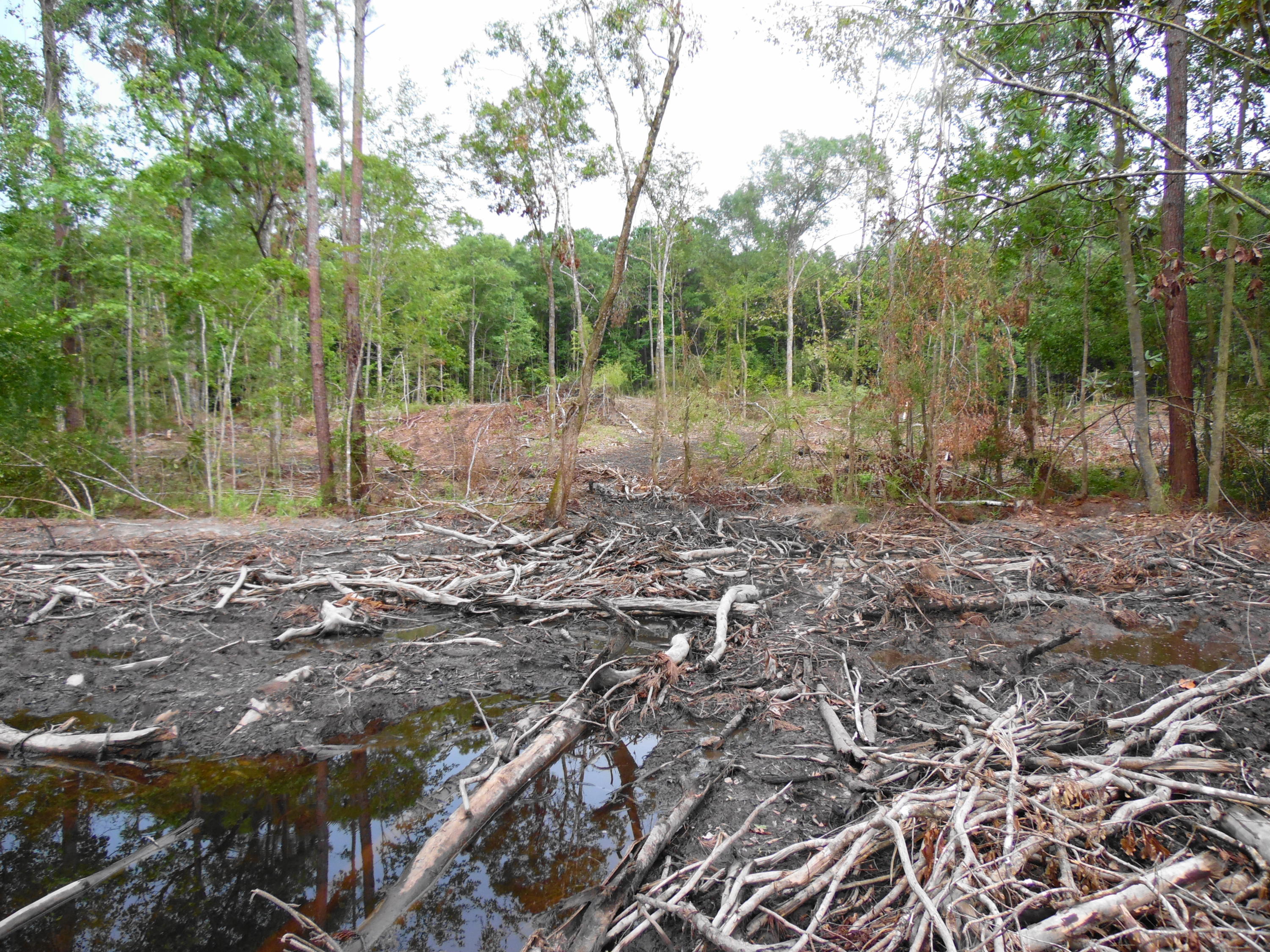 32.33 Boy Scout Road DeFuniak Springs, FL 32435 - Photo 7 of 13 a view of outdoor space with trees all around