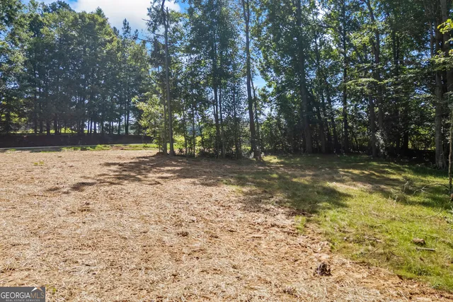a view of backyard with green space