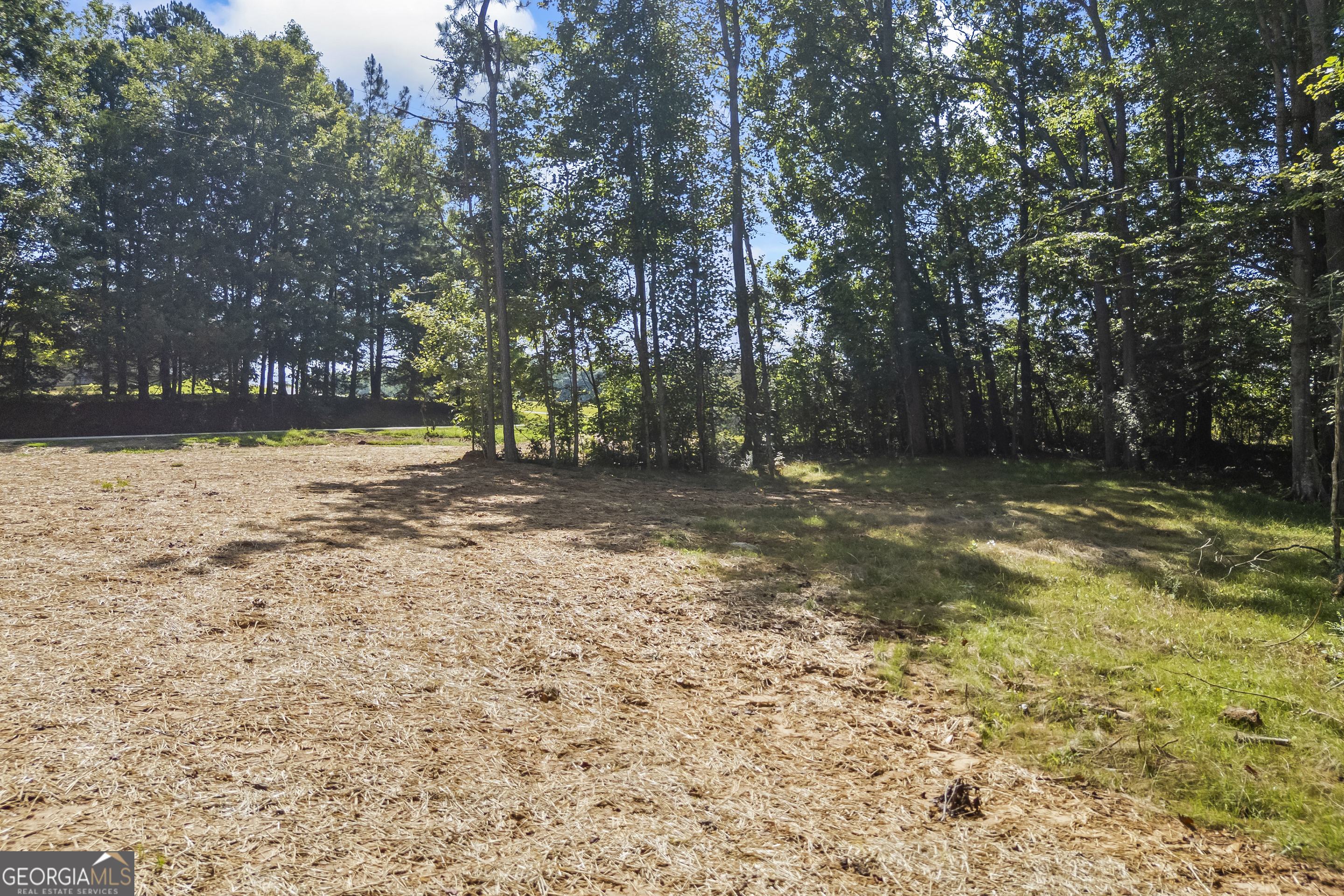 119 Gordon Road Commerce, GA 30530 - Photo 33 of 40 a view of backyard with green space