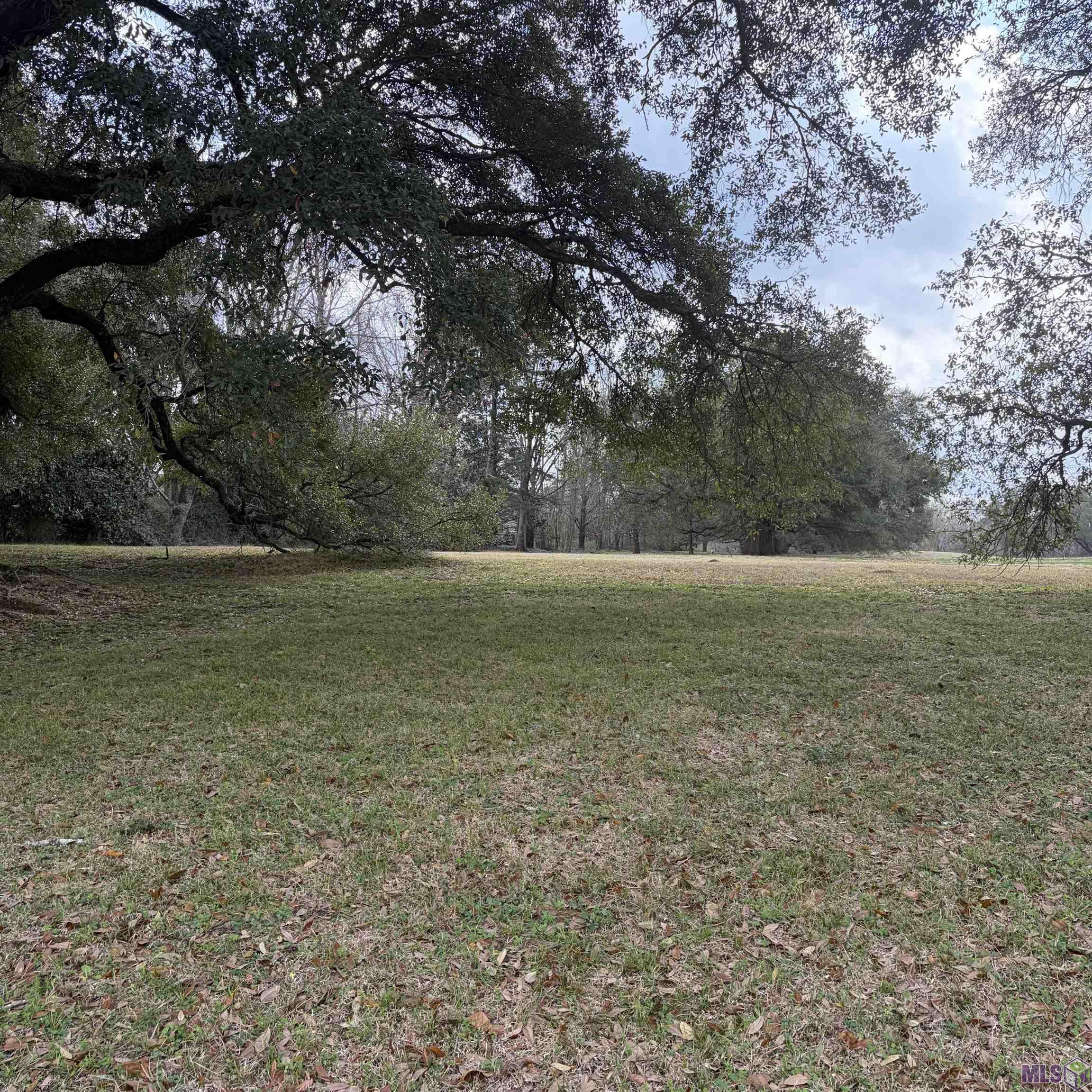 280 Jean Lafitte Avenue Baton Rouge, LA 70810 - Photo 1 of 5