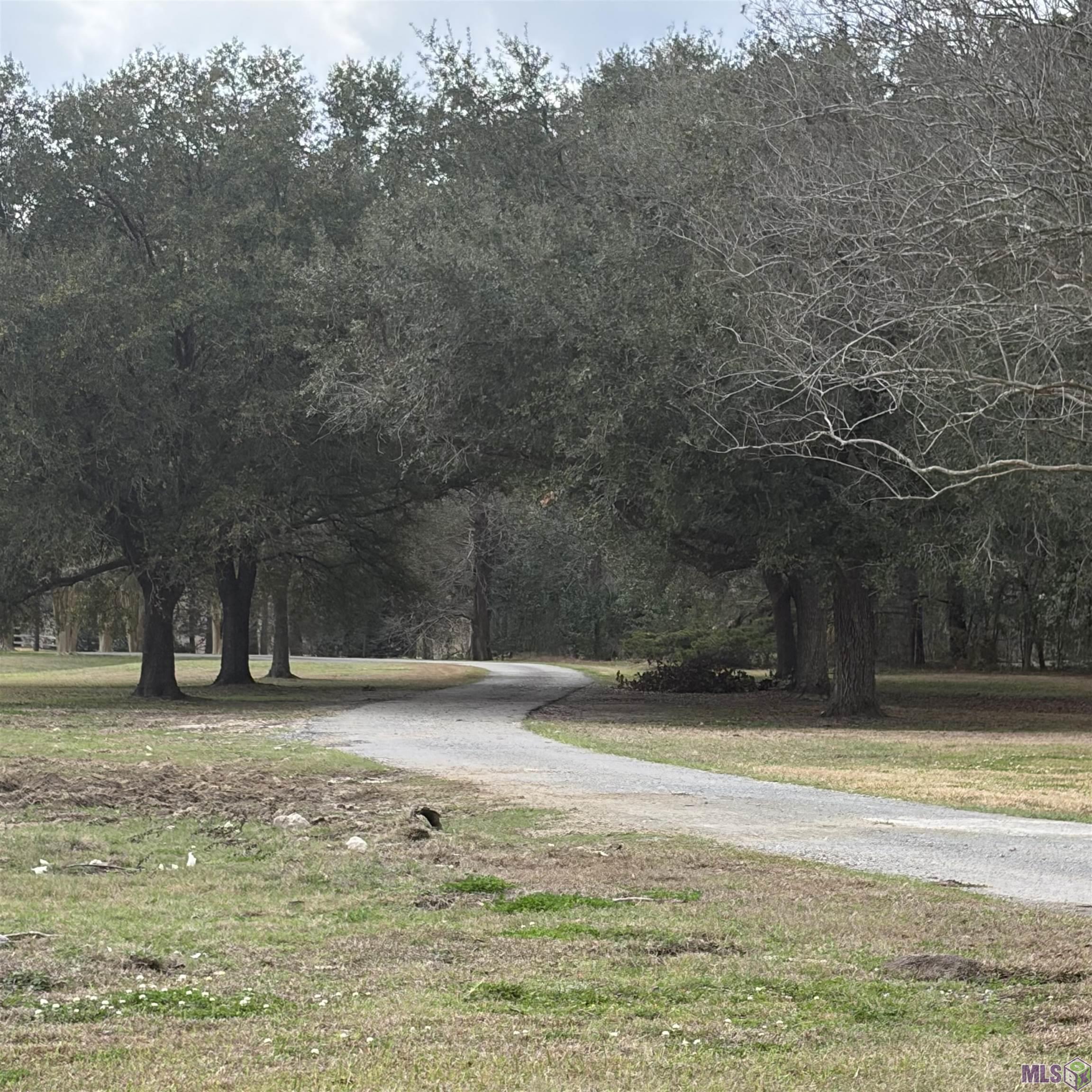 280 Jean Lafitte Avenue Baton Rouge, LA 70810 - Photo 2 of 5