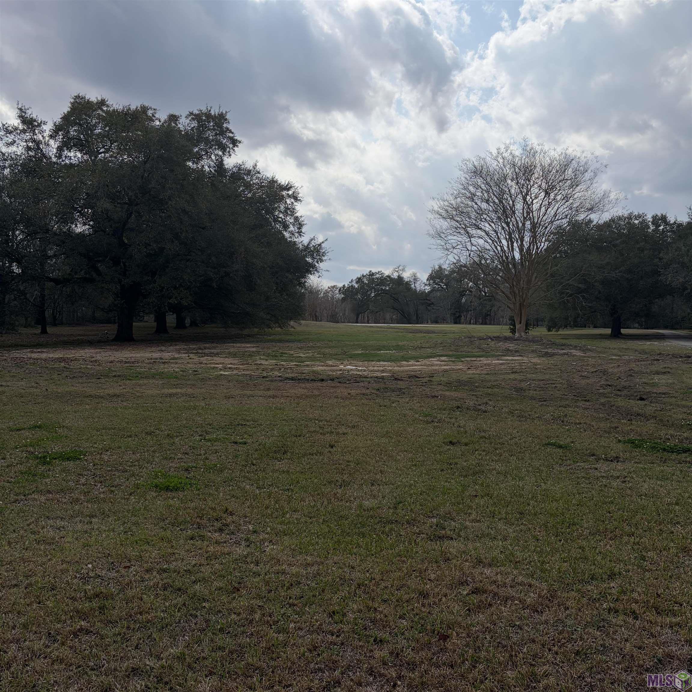 280 Jean Lafitte Avenue Baton Rouge, LA 70810 - Photo 4 of 5