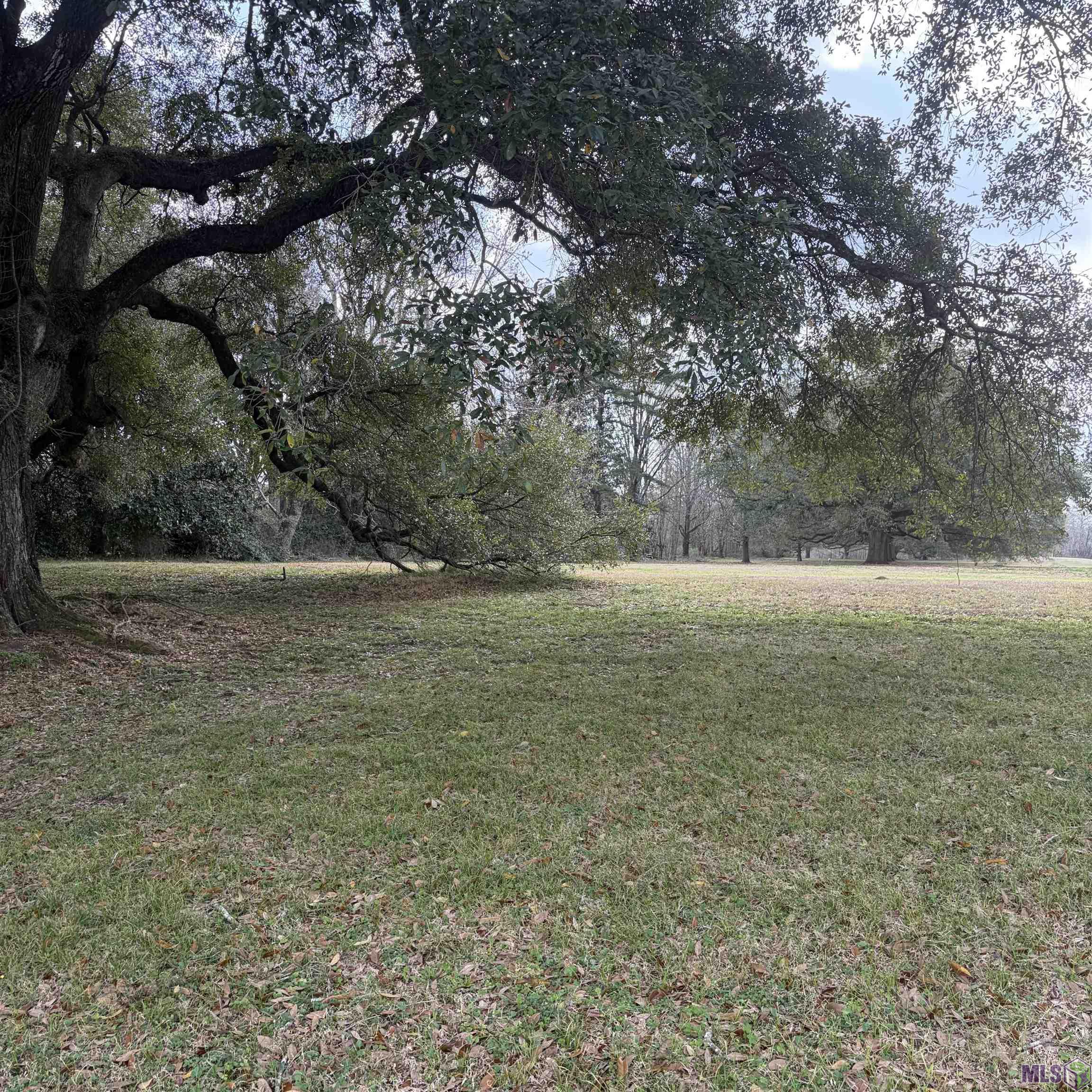 280 Jean Lafitte Avenue Baton Rouge, LA 70810 - Photo 5 of 5