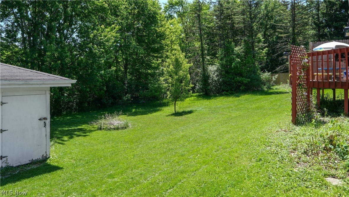 9034 Wiencek Road Streetsboro, OH 44241 - Photo 18 of 21 Beautiful wooded huge backyard view