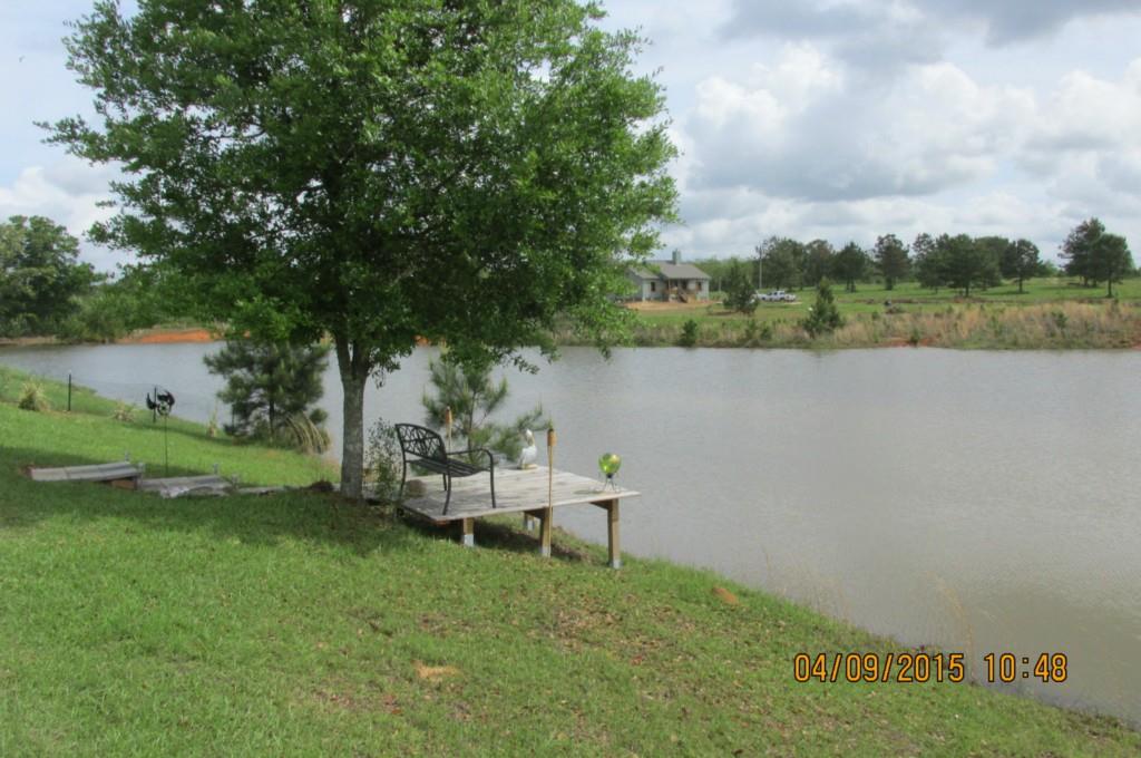 60074 Rohner Road Amite, LA 70422 - Photo 18 of 21 Gallery Image 18