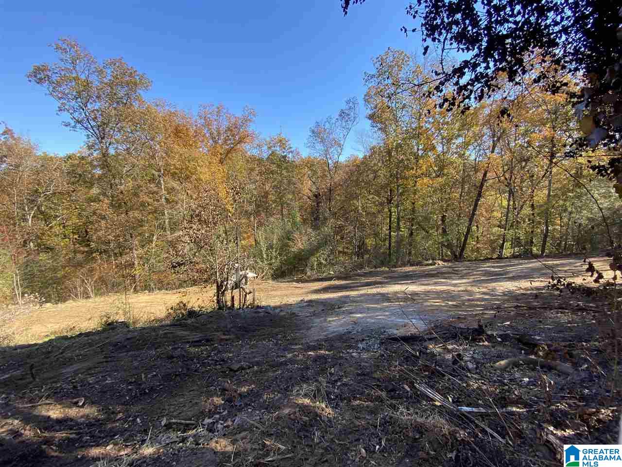 3752 County Road 331 Chelsea, AL 35043 - Photo 6 of 10