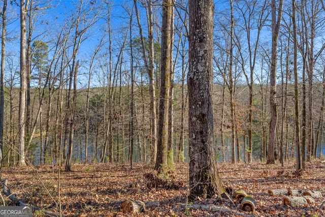 $420,000 | 870 Bertha Willis Road, Carlton, GA 30627