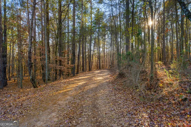 $420,000 | 870 Bertha Willis Road, Carlton, GA 30627