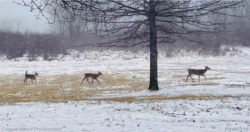 4060 Merwin Road Lapeer, MI 48446 - Photo 27 of 31