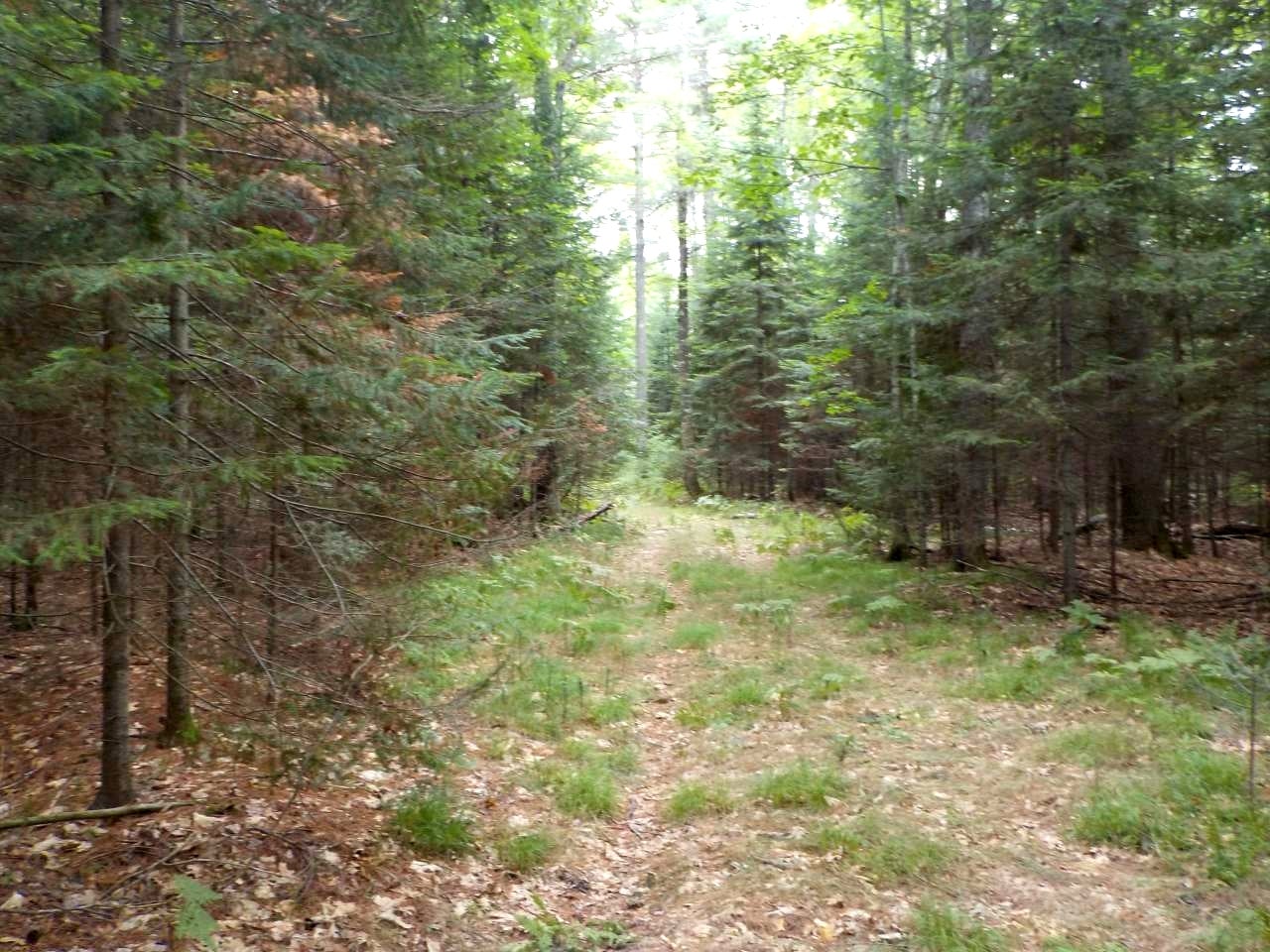 On Winkle Road St. Germain, WI 54558 - Photo 1 of 2 Gallery Image 1