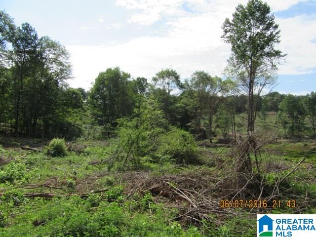 550 Davis Acres Drive, Unit 15 Alpine, AL 35014 - Photo 2 of 48