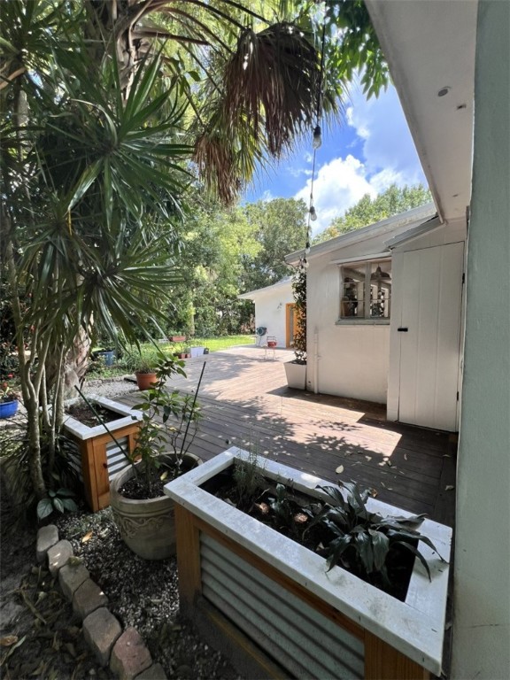 1908 37th Avenue Vero Beach, FL 32960 - Photo 29 of 34 a view of a backyard with plants and a patio
