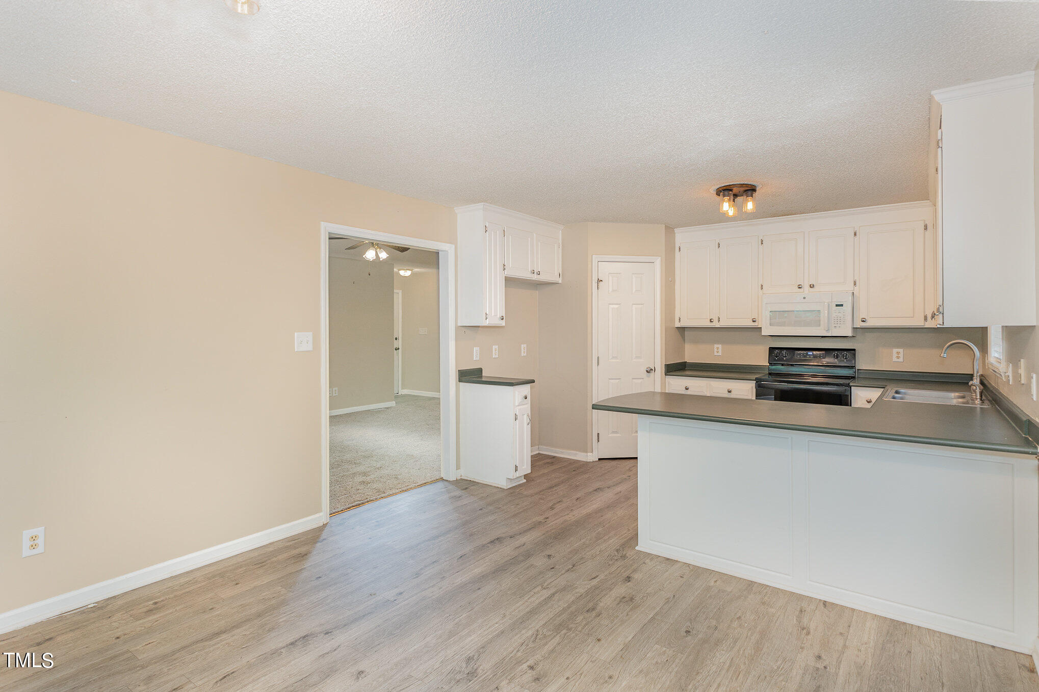 204 Beaver Ridge Way Benson, NC 27504 - Photo 10 of 27 008_bc4a7419-edit
