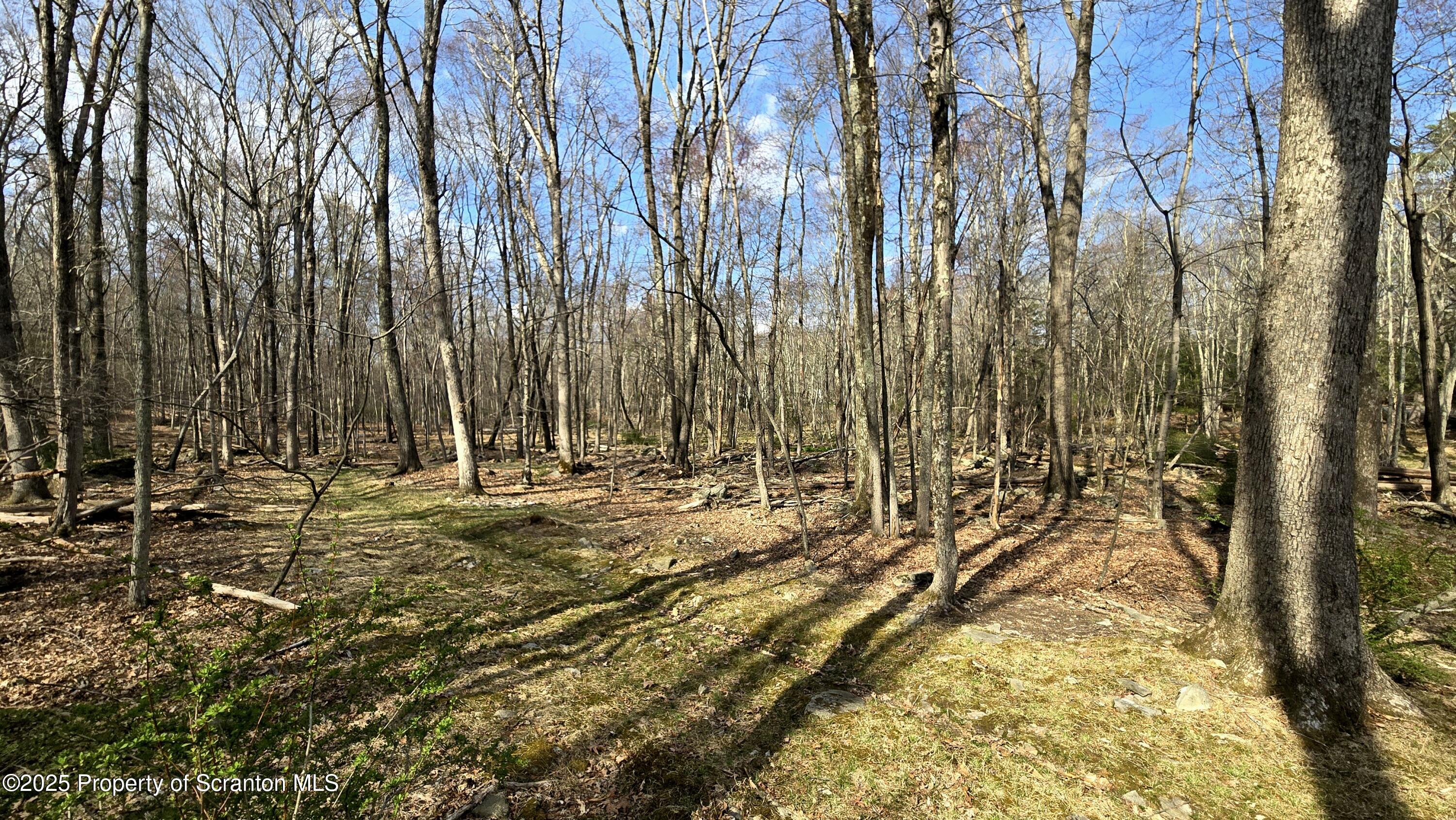 237 Mohican Road Canadensis, PA 18325 - Photo 33 of 33 20250424_162040