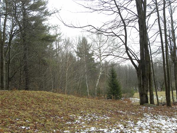0 Sumner Stetson Road Colrain, MA 01340 - Photo 10 of 13 Gallery Image 10