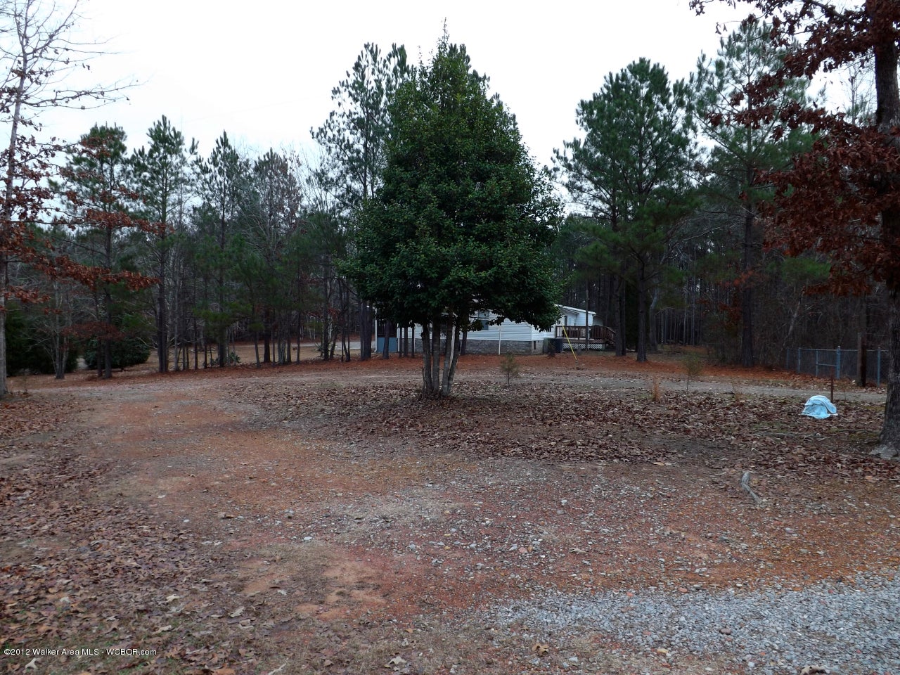 714 Arrowhead Jasper, AL 35503 - Photo 5 of 18 Gallery Image 5