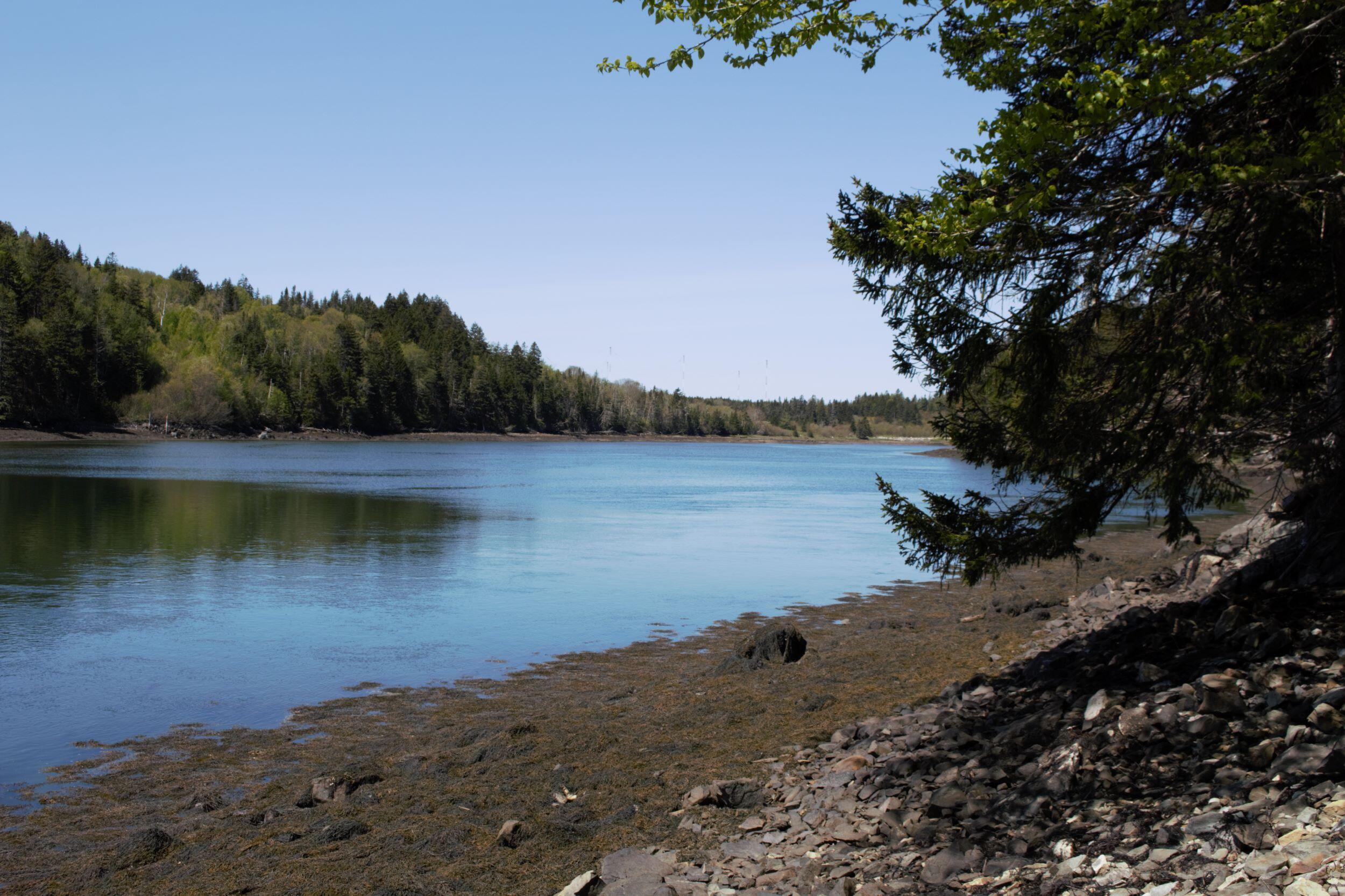 2595 Cutler Road Cutler, ME 04626 - Photo 33 of 47 IMG_5332