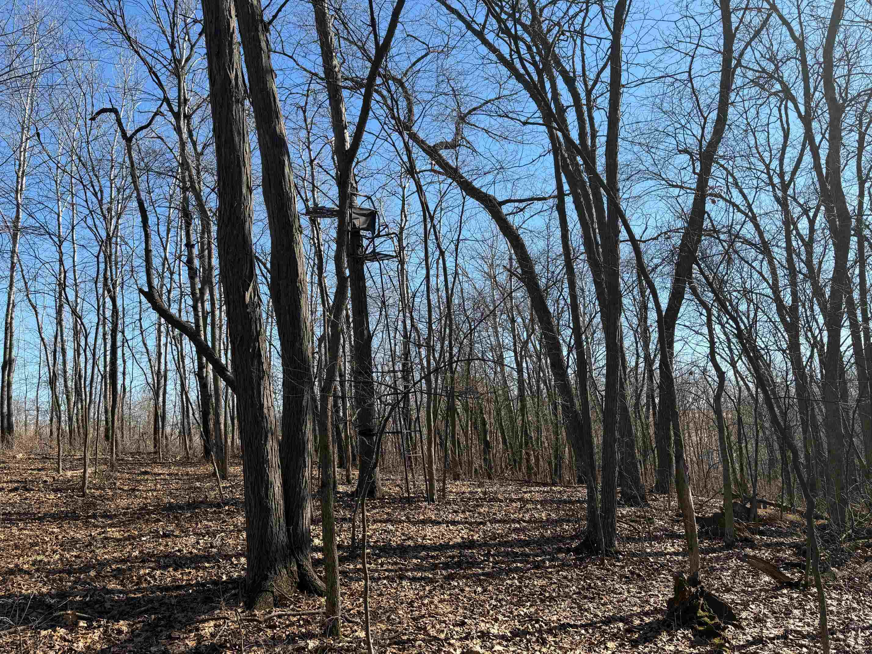 21881 Kale Road Sparta, WI 54656 - Photo 20 of 92