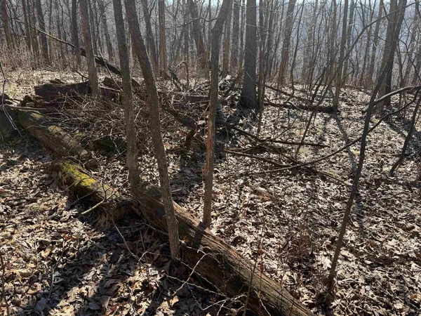 $2,590,000 | 21881 Kale Road, Sparta, WI 54656