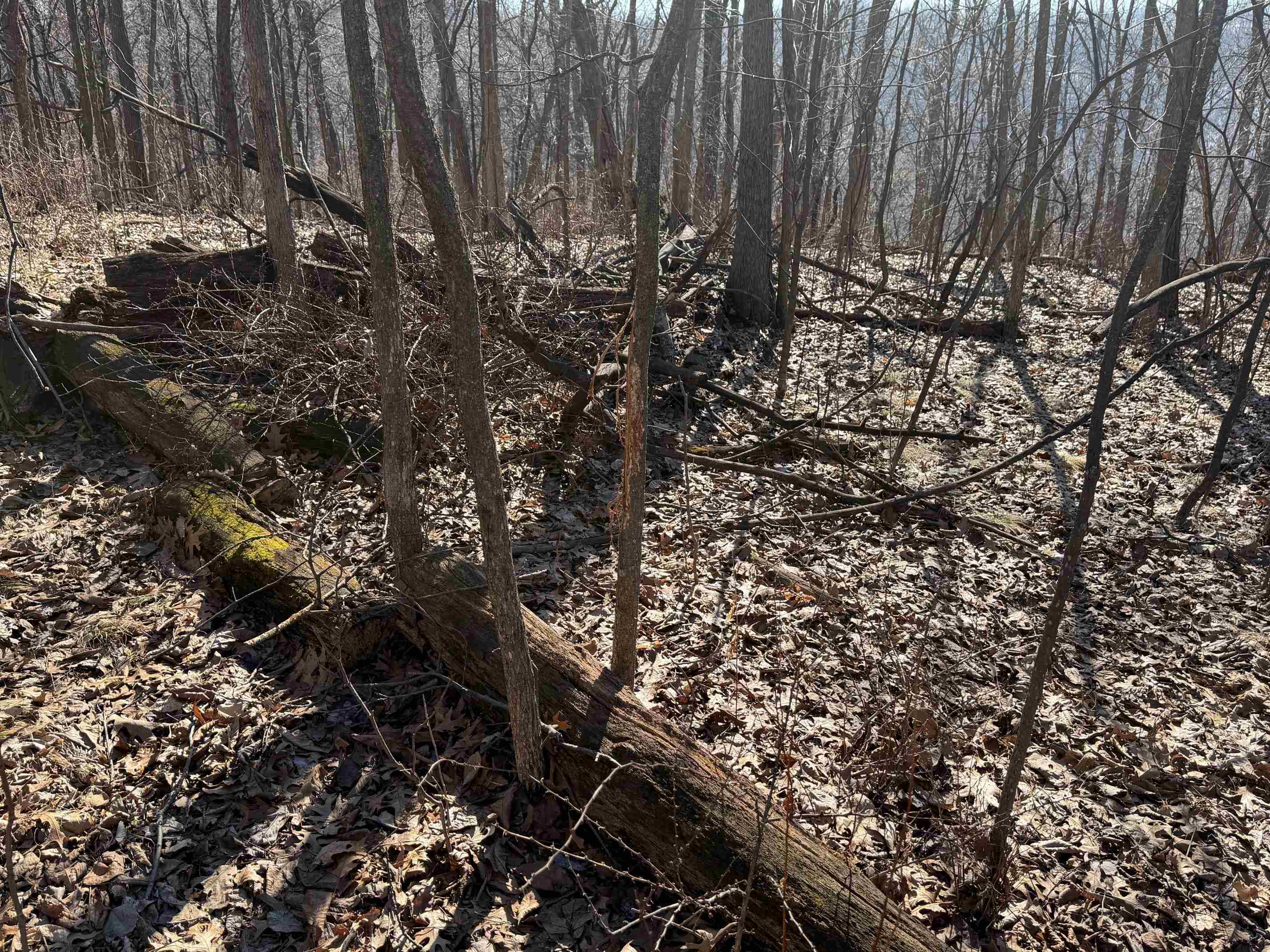 21881 Kale Road Sparta, WI 54656 - Photo 21 of 92