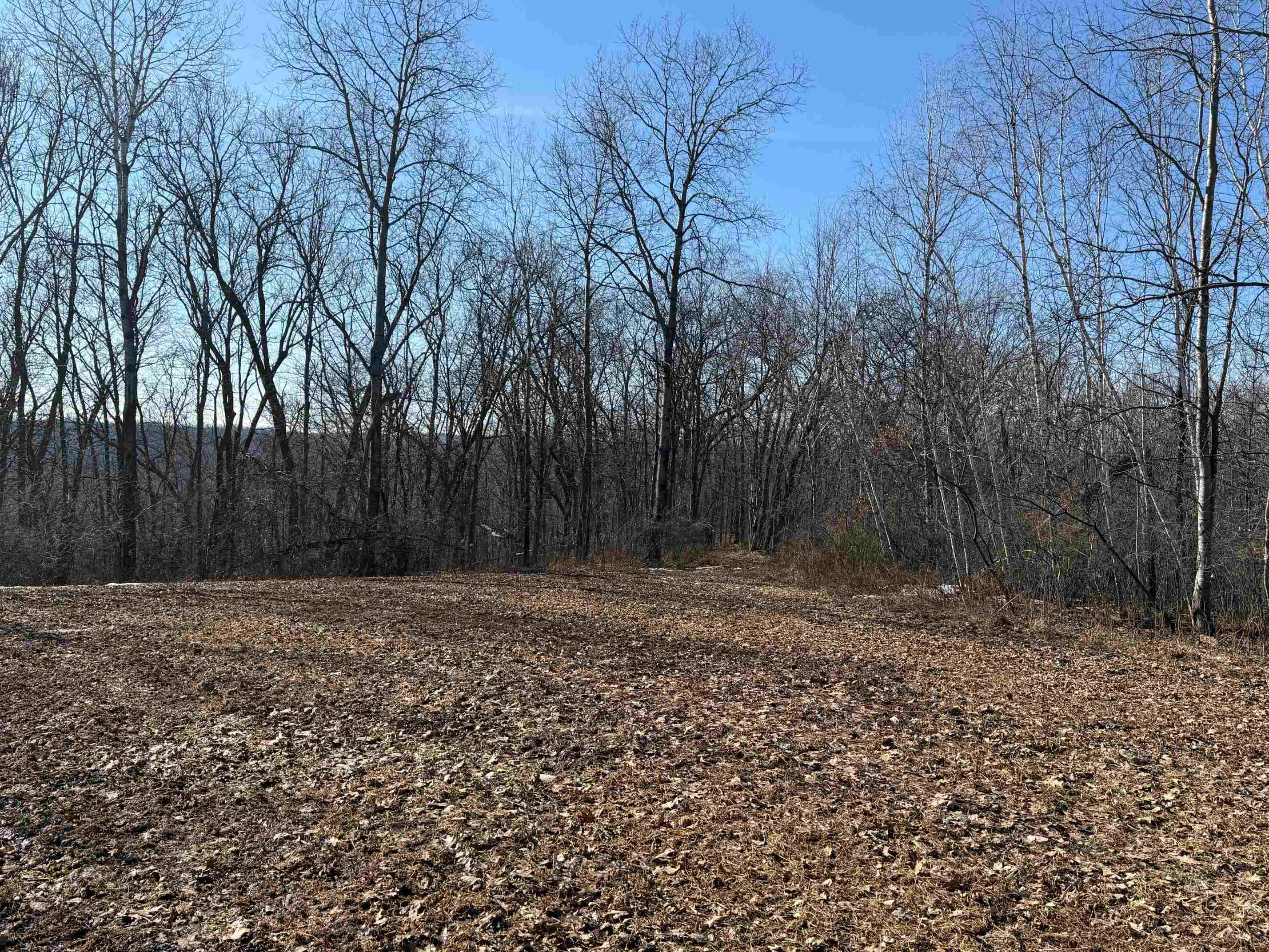 21881 Kale Road Sparta, WI 54656 - Photo 22 of 89