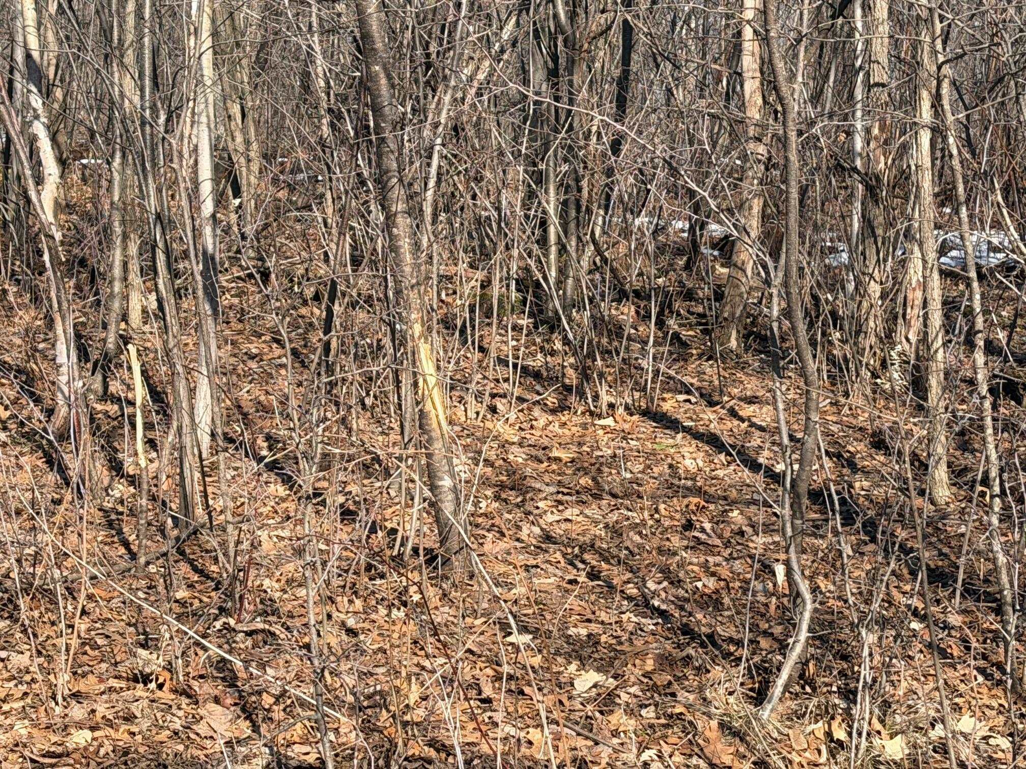 21881 Kale Road Sparta, WI 54656 - Photo 28 of 92