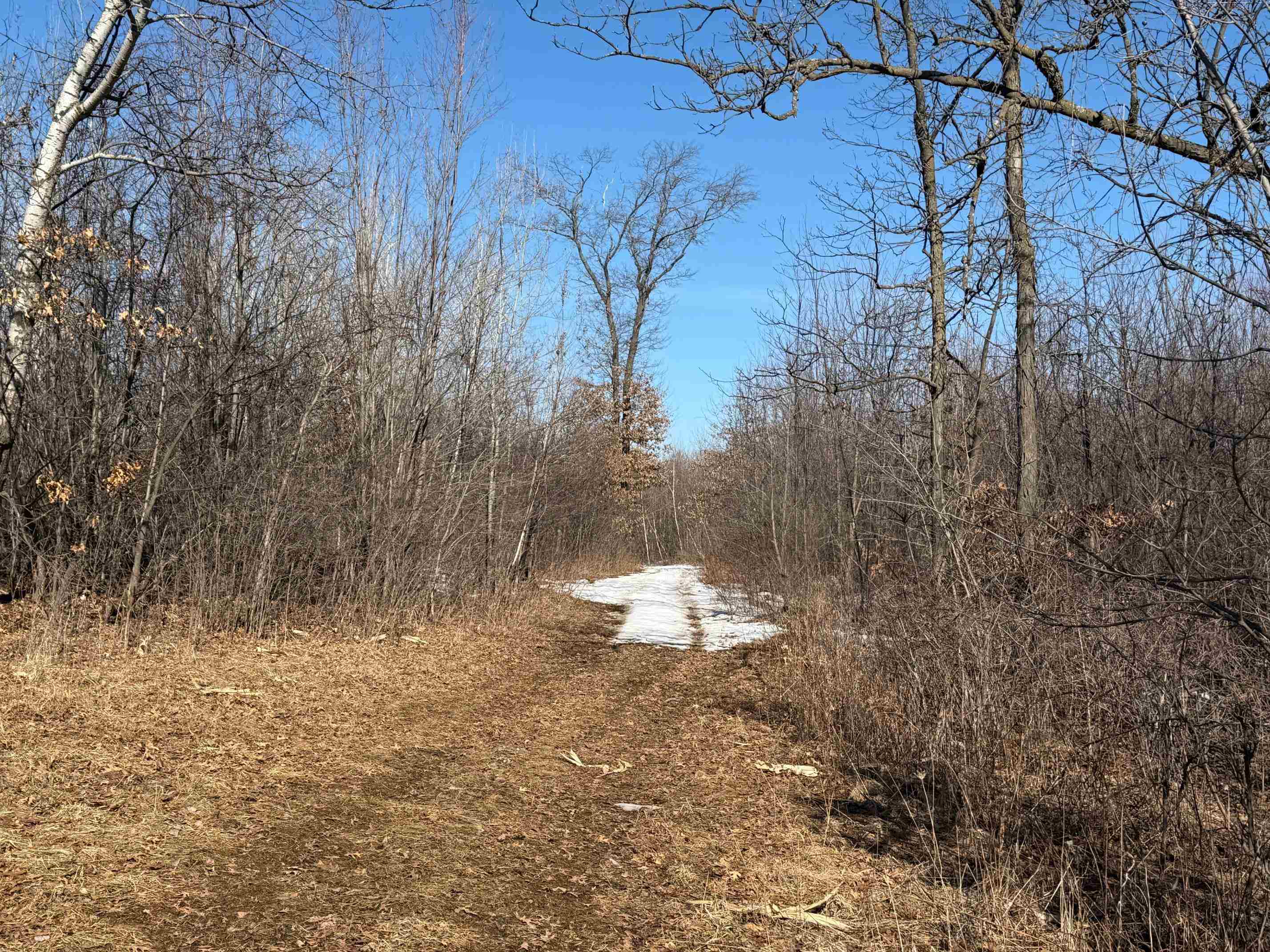 21881 Kale Road Sparta, WI 54656 - Photo 30 of 92