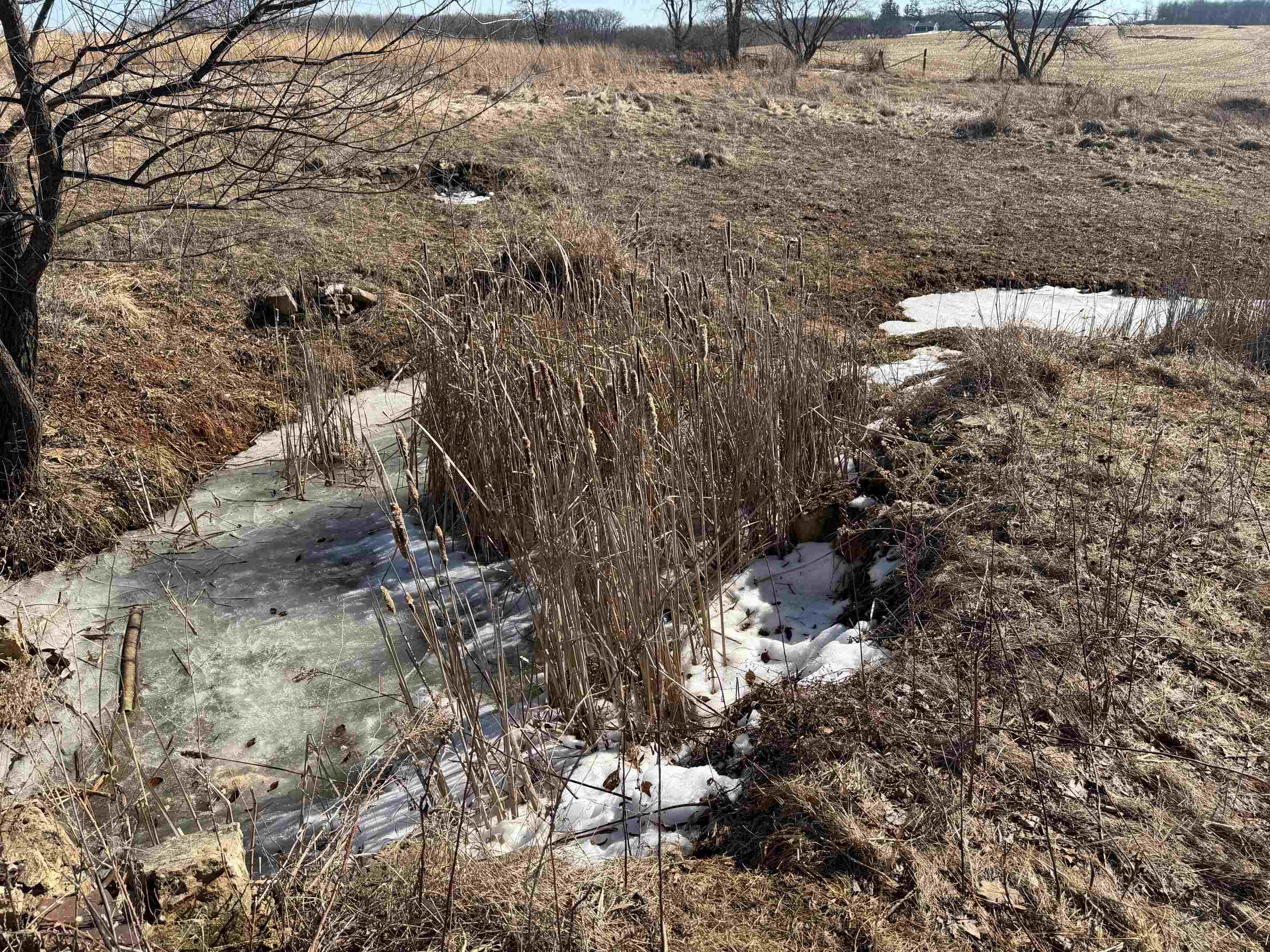 21881 Kale Road Sparta, WI 54656 - Photo 31 of 92